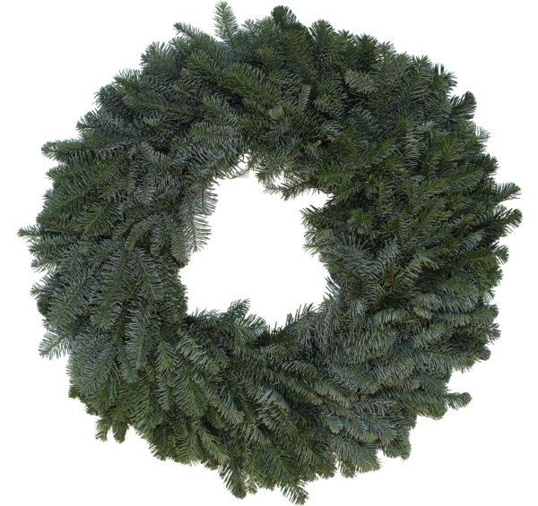 Plain Noble Fir Wreath