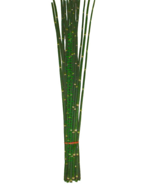 Snake Grass