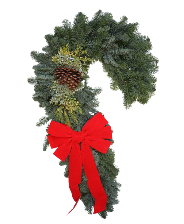 Mixed Noble Fir With Cones Candy Cane Wreath With Red Bow