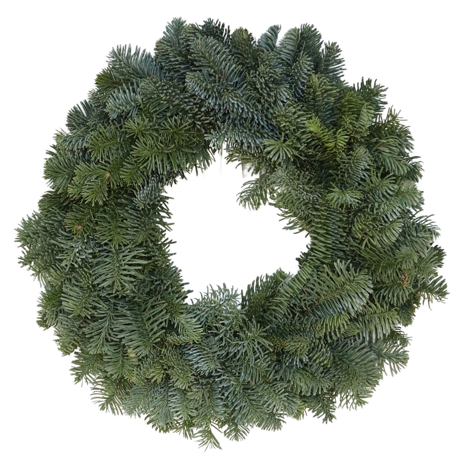 Plain Noble Fir Candle Ring Wreath