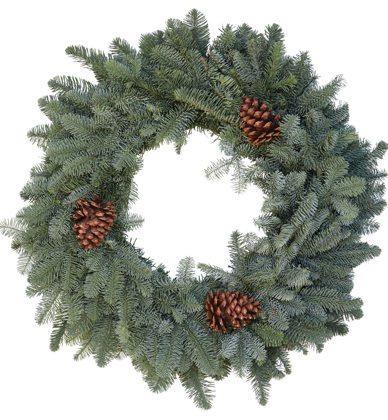 Plain Noble Fir Wreath With Cones