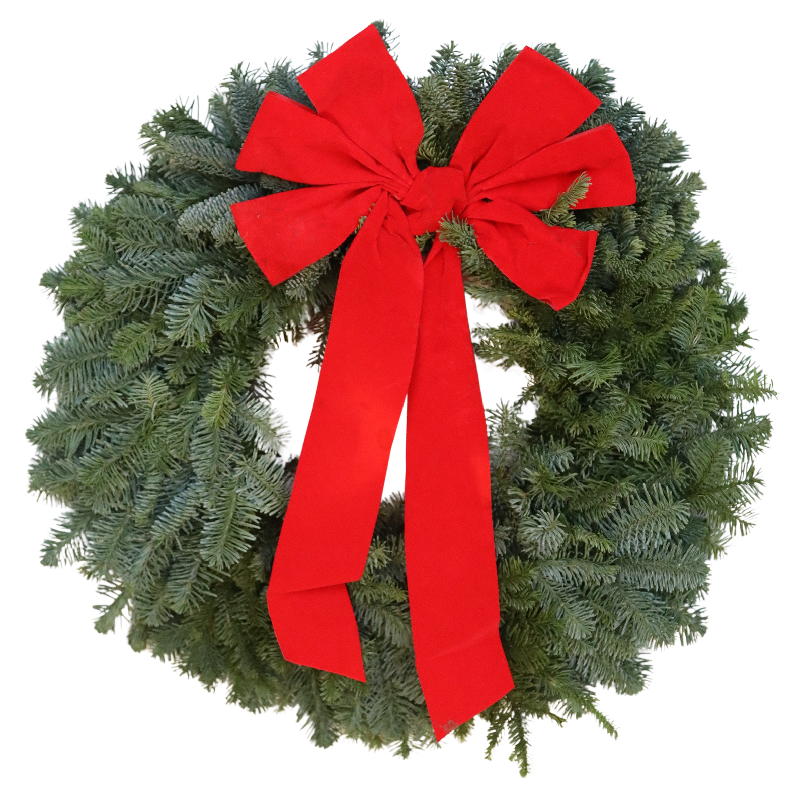 Plain Noble Fir Wreath With Red Bow